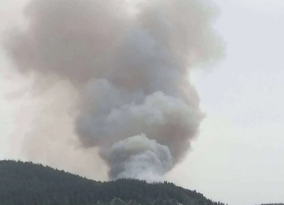 šumski požar u pograničnom pojasu Srbije i Crne Gore u reonu Kamene Gore