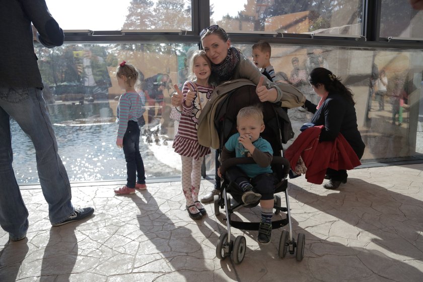 Afrykarium we wrocławskim ZOO