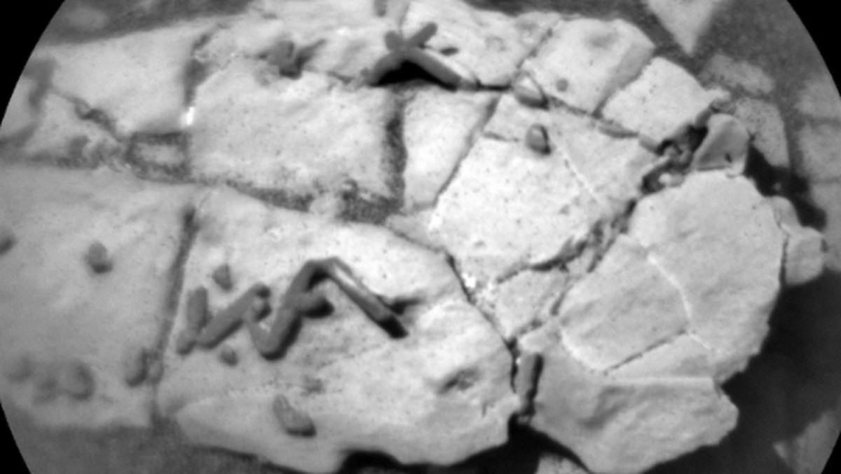 Marsjański łazik Curiosity przysłał naukowcom kolejną serię zdjęć z Czerwonej Planety do analizy. Fotografie wykonane przez kamerę MAHLI, umieszczonej na rewolwerowej wieżyczce łazika, ukazują struktury przypominające żywe skamieniałości – poinformowała na swoich stronach NASA.