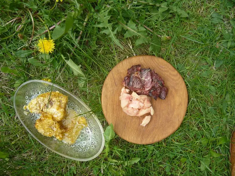 Zdjęcie pochodzi z fan page Witarianizm Paleolityczny / Raw Paleolithic Food