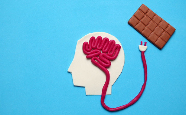 Wpływ cuktu na mózg