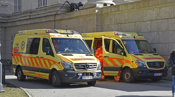 Sorban állás közben esett össze a férfi egy óbudai kisboltban: a dolgozók segítettek megmenteni az életét / Fotó: MTVA/Róka László