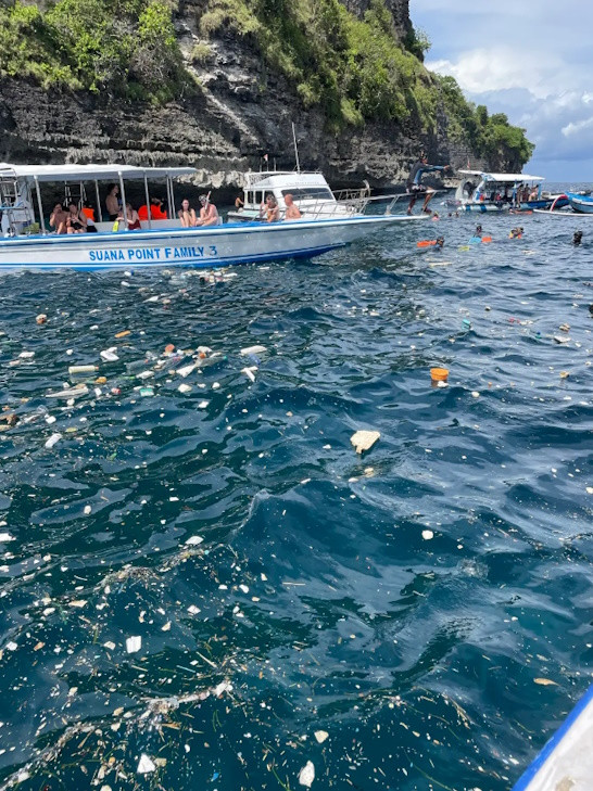 88 proc. wód wokół Bali wygląda tak, jak na nagraniu Sary Walsh