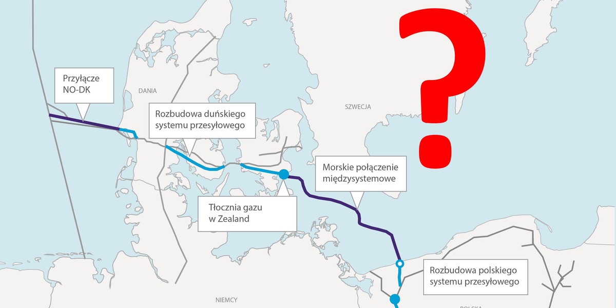 Co dalej z Baltic Pipe? Duńczycy rzucili nam kłody pod nogi, tłumacząc cofnięcie pozwolenia koniecznością ochrony niektórych gatunków myszy i nietoperzy.