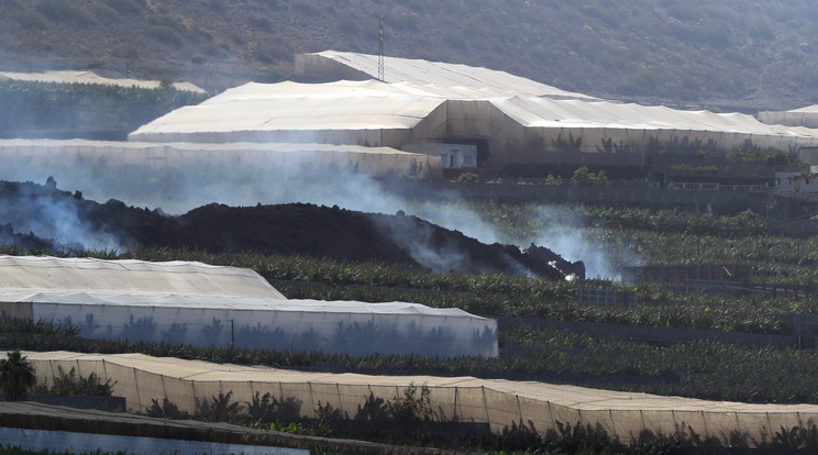 La Palma szigetén egy hónap kényszerszünet után több mint négyezer gyerek számára megkezdődött az oktatás /Fotó: MTI/EPA/EFE/Elvira Urquijo A.