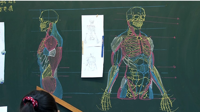 Najlakši način da se savlada ljudska anatomija