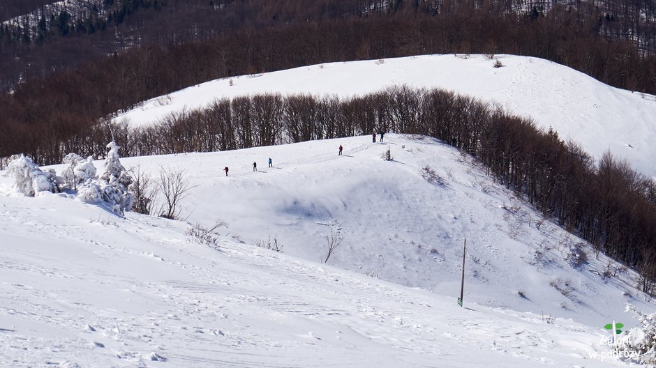 Ponad granicą lasu