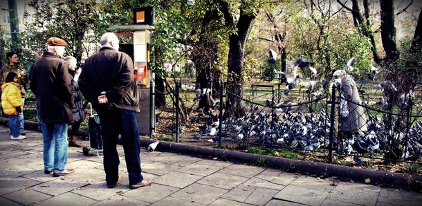 Starsza pani karmiąca gołębie nieopodal krakowskiego rynku, oraz grupka ludzi przyglądająca się temu zdarzeniu z niedowierzaniem.