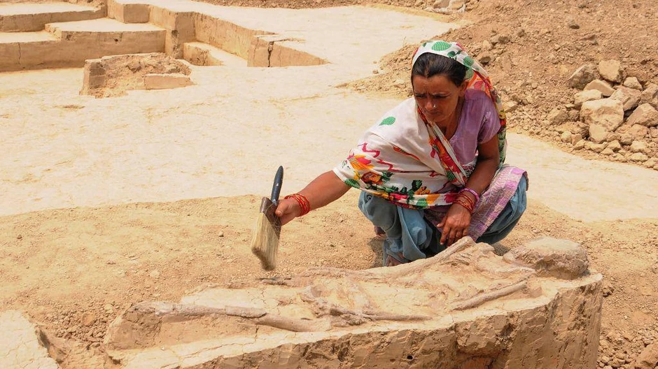 U poređenju sa drugim društvima, na grobnicama civilizacije doline Inda pronađene su niže stope kranijalnih trauma | Foto: AFP via Getty Images