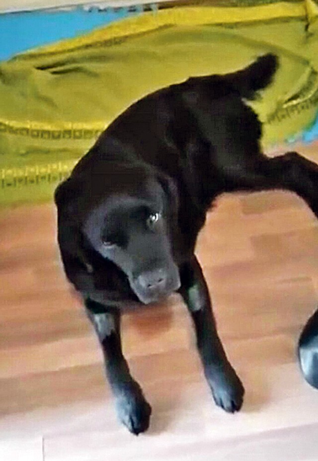 Saša je posle hemioterapija u drugoj fazi lečenja i ima sjajne rezultate