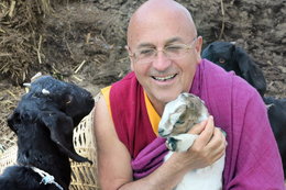 Trzy lekcje o szczęściu, które dostałem od tybetańskiego mnicha pracującego z Dalajlamą