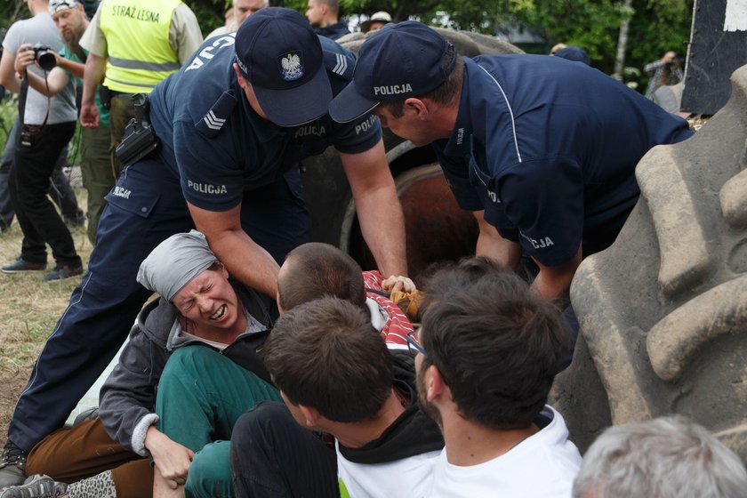 Protest ekologów w Puszczy Białowieskiej