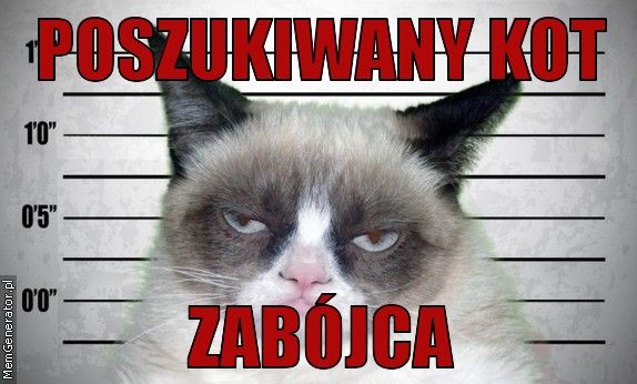 Światowy Dzień Kota - mem