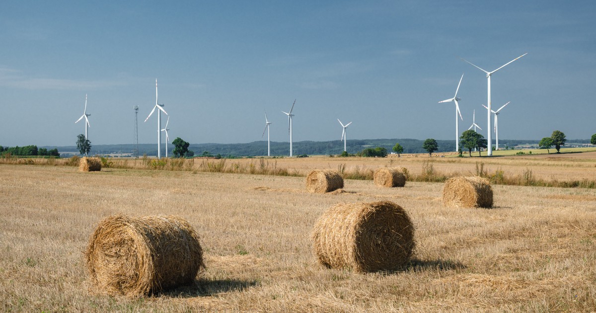 Kolejna farma wiatrowa gotowa. Lada chwilę pracę rozpoczną 63 wiatraki