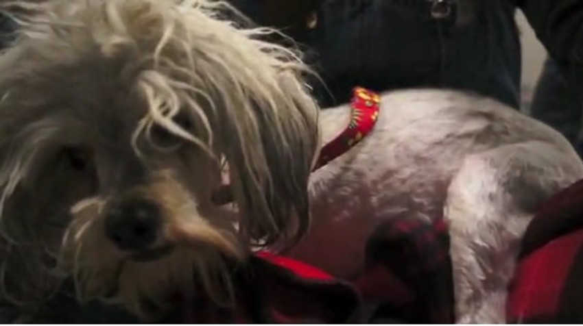 Tesa je naučila da koristi druga čula kako bi se snalazila u prostoru