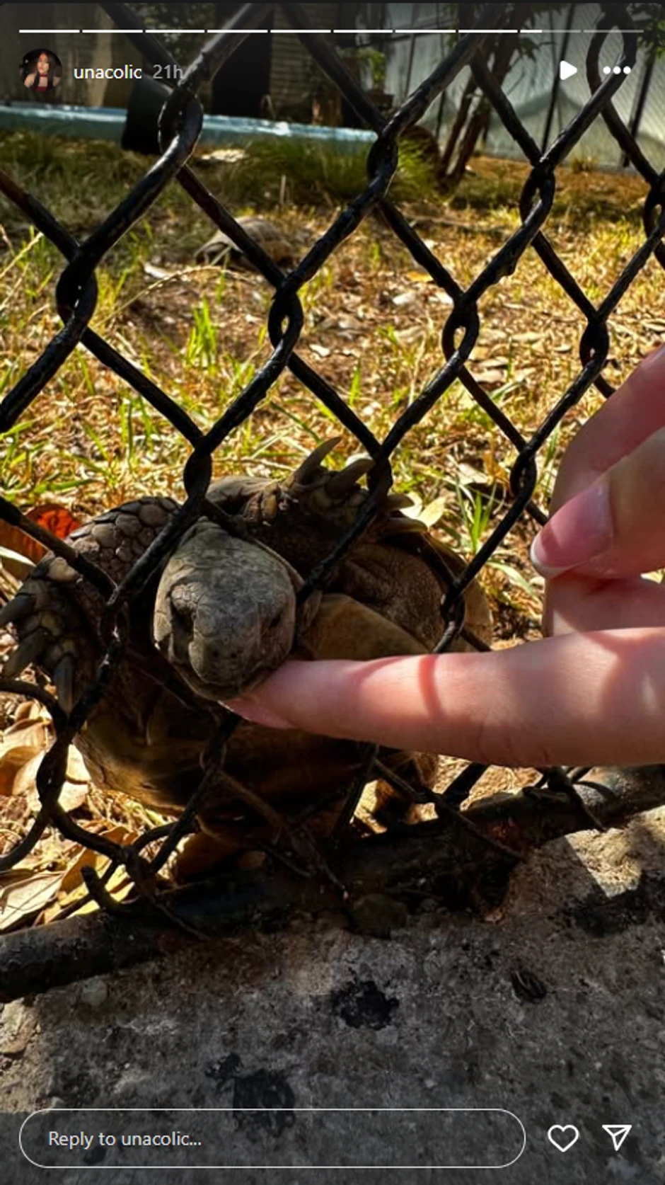 Una Čolić na Brionima sa mamom, tatom i dečkom