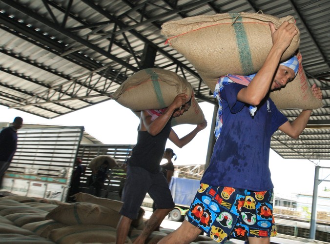 Nowy rząd obiecał sztywną cenę za ryż