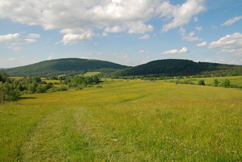 Widok na Rotundę (z lewej); Henryk Bielamowicz / wikimedia.org