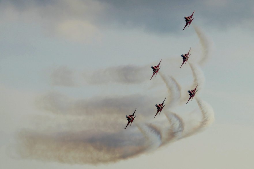 Około połowa aktywnej floty F-5 Tiger, jest wykorzystywana przez zespół akrobacyjny Patrouille Suisse do lotów pokazowych