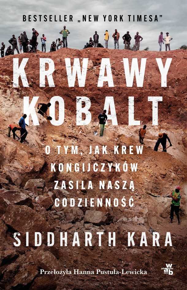 Krwawy kobalt, Siddharth Kara