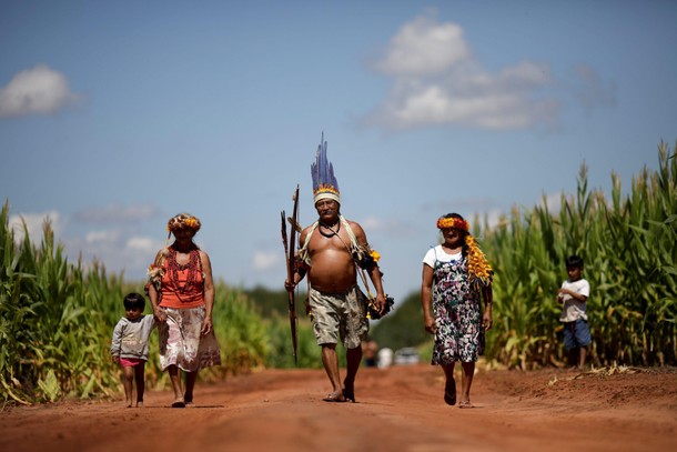 The Wider Image: Brazilian Indians fined for planting GMO soy crops