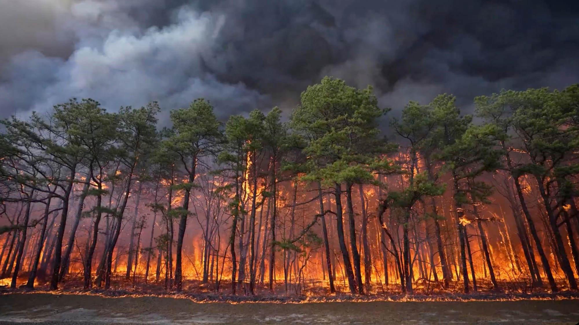 V americkom štáte New Jersey už niekoľko dní hasiči bojujú s rozsiahlym lesným požiarom.