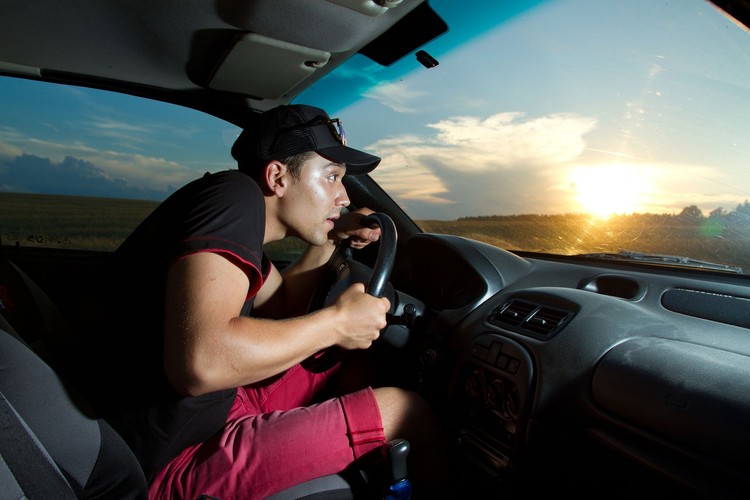 Jakim jesteś kierowcą? - Skoczek alpejski, zwany także pchłą drogową