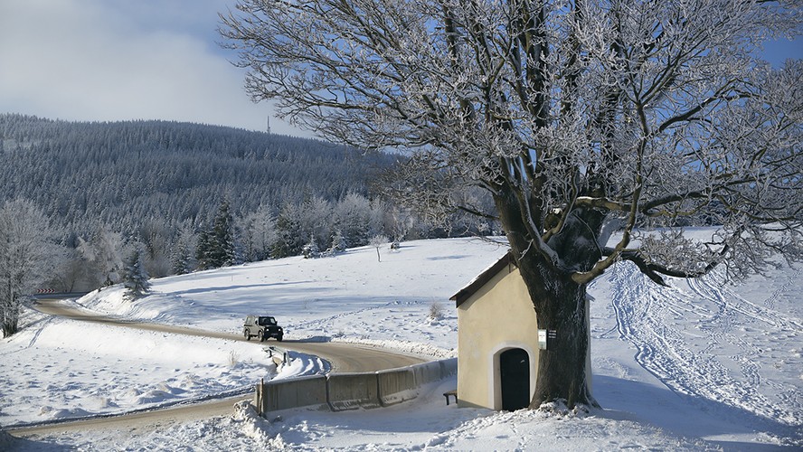 <strong>Pokot, reż. Agnieszka Holland</strong>
<br><br>
Kiedyś budowała mosty w Syrii, teraz uczy angielskiego w wiejskiej szkole, czyta w gwiazdach i rozmawia ze zwierzętami. Pewnej śnieżnej nocy Janina Duszejko odnajduje ciało sąsiada-kłusownika. Jedyne ślady wokół jego domu to tropy saren...  
<br><br>
W niewyjaśnionych okolicznościach giną kolejne lokalne osobistości. Wszystkich łączyła ta sama pasja - polowanie. Policja szuka sprawcy. Duszejko rozpoczyna swoje własne śledztwo, które prowadzi ją do zaskakujących wniosków. Czy to możliwe, że myśliwi stali się zwierzyną?
<br><br>
[opis dystrybutora kino]
<br><br>
Data polskiej premiery: 24 lutego 2017