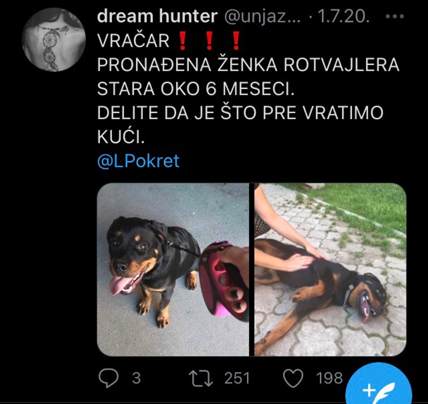 Akcija potrage vlasnika Paname na društvenim mrežama uspešno se završila