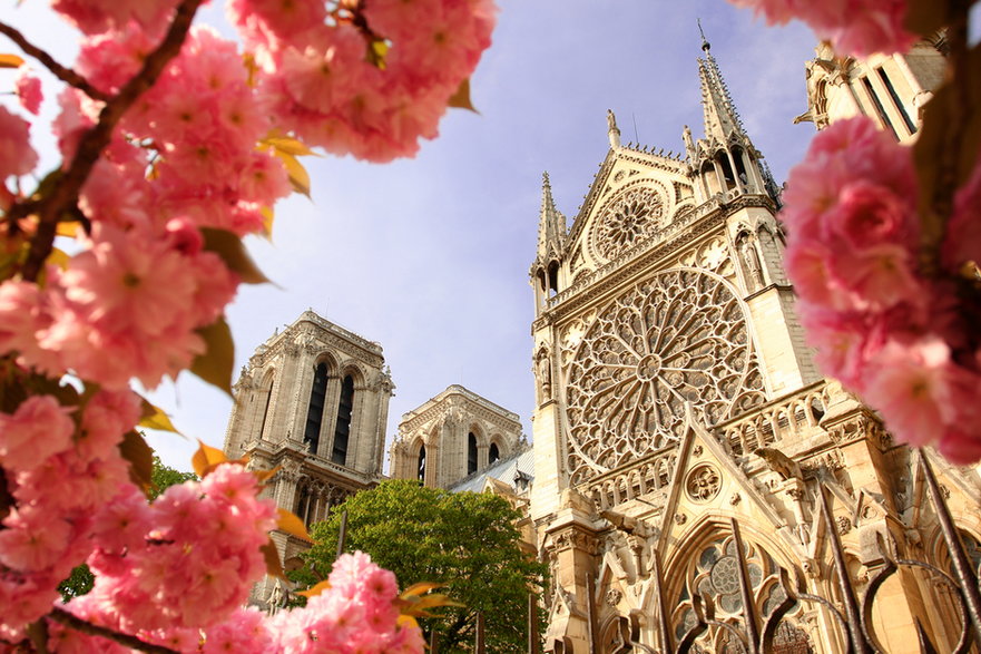Tajemnice katedry Notre Dame