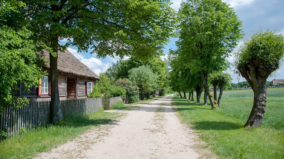 Muzeum Wsi Mazowieckiej w Sierpcu 