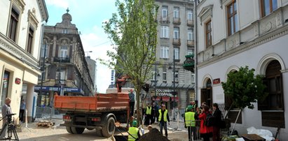 Urzędnicy kupili wiśnie za 105 tys. zł!