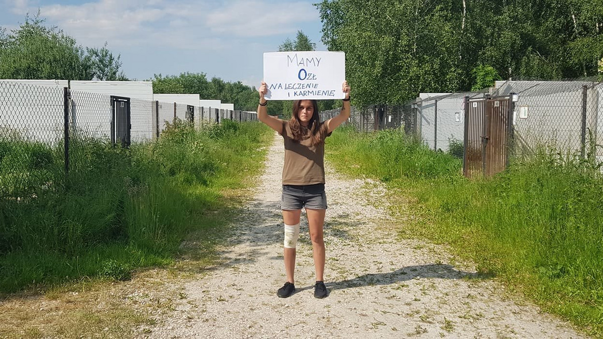 Dramat schroniska w Korabiewicach. "Błagamy na kolanach"