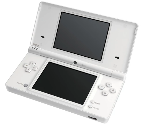 Cechą charakterystyczną konsoli Nintendo DSi jest unikatowy minimalistyczny wygląd. Wszystkie modele (DS, DS Lite i DSi), z zewnątrz są do siebie bardzo podobne