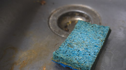 Dlaczego bakterie tak kochają kuchenne gąbki? Zaskakujące odkrycie naukowców