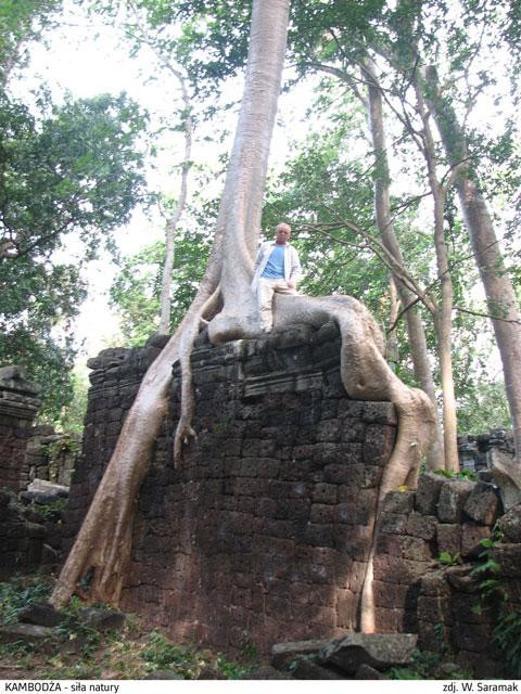 Galeria Kambodża - nie tylko Angkor Wat, obrazek 85