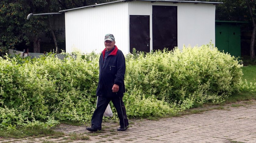 Ojciec Katarzyny P. nie daje spokoju działkowcom