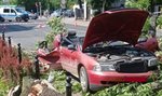 Przerażające sceny w Żywcu. Potężne drzewo runęło na jezdnię i przygniotło przejeżdżające auto. Nagranie szokuje