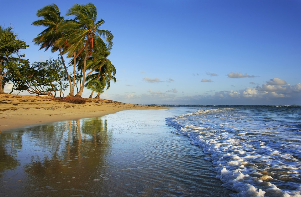 Dominikana - zatoka i półwysep Samana: plaże i wieloryby - Podróże