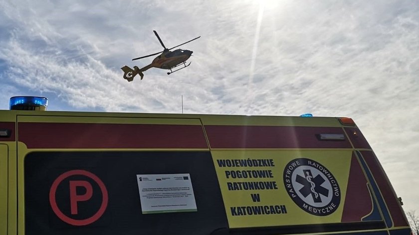 A 14-year-old crushed by a tree. New information from the hospital
