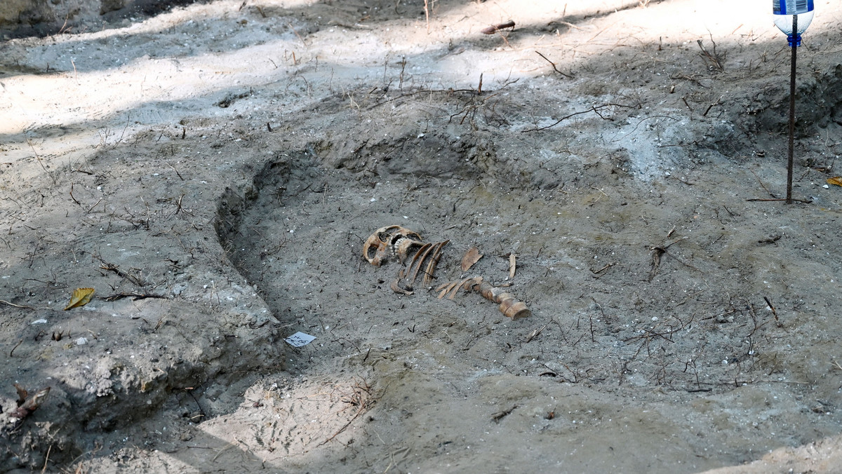 Gdańsk: Prace archeologiczne na Westerplatte. Odkryto kolejne szczątki