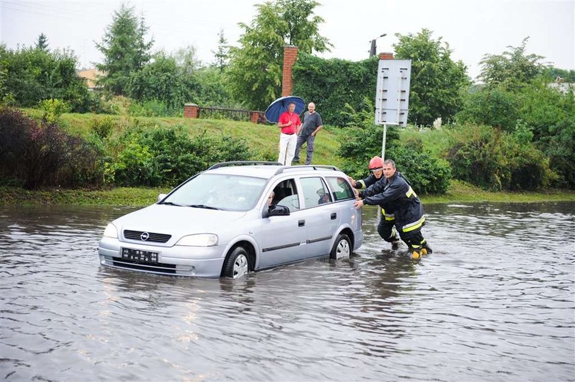 Śmierć i zniszczenie. Bilans strat po nawałnicy