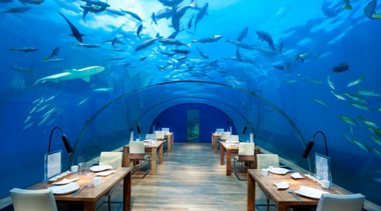 Ithaa Undersea Restaurant