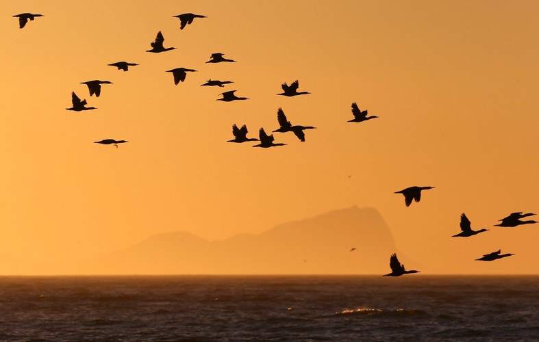 Początek zimy w Afryce