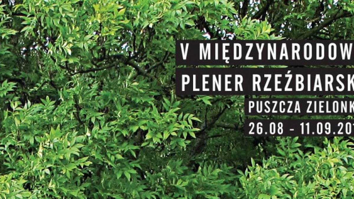 Po raz piąty w Pławnie odbędzie się Międzynarodowy Plener Rzeźbiarski Puszcza Zielonka 2011. Od 26 sierpnia do 11 września kilkunastu artystów z Belgii, Białorusi, Francji, Nowej Zelandii, Ukrainy i Polski podejmie temat Człowiek - Miejsce - Natura, tworząc prace w drewnie pochodzącym z okolicznych lasów.