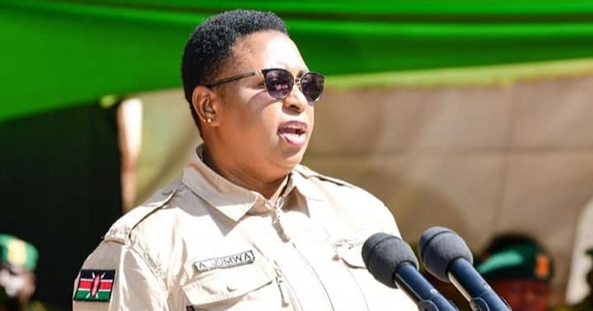 Armed thugs break into CS Aisha Jumwa's Nairobi home, steal goods worth