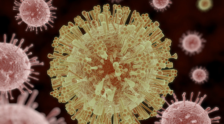 Ausztrál kutatóknak elsőként sikerült előállítaniuk a koronavírust. /Fotó: Northfoto