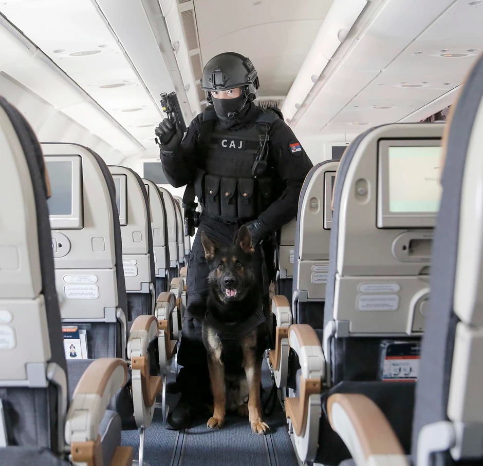 Pas sa vodičem u avionu 