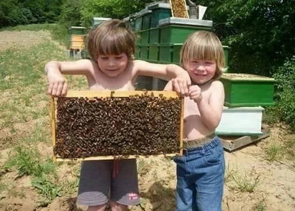 Nemanja i Milosav Čanak