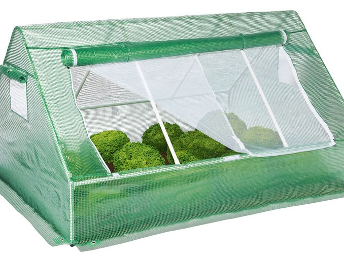 Miniszklarnia w Lidlu postaw na własną uprawę roślin Dom